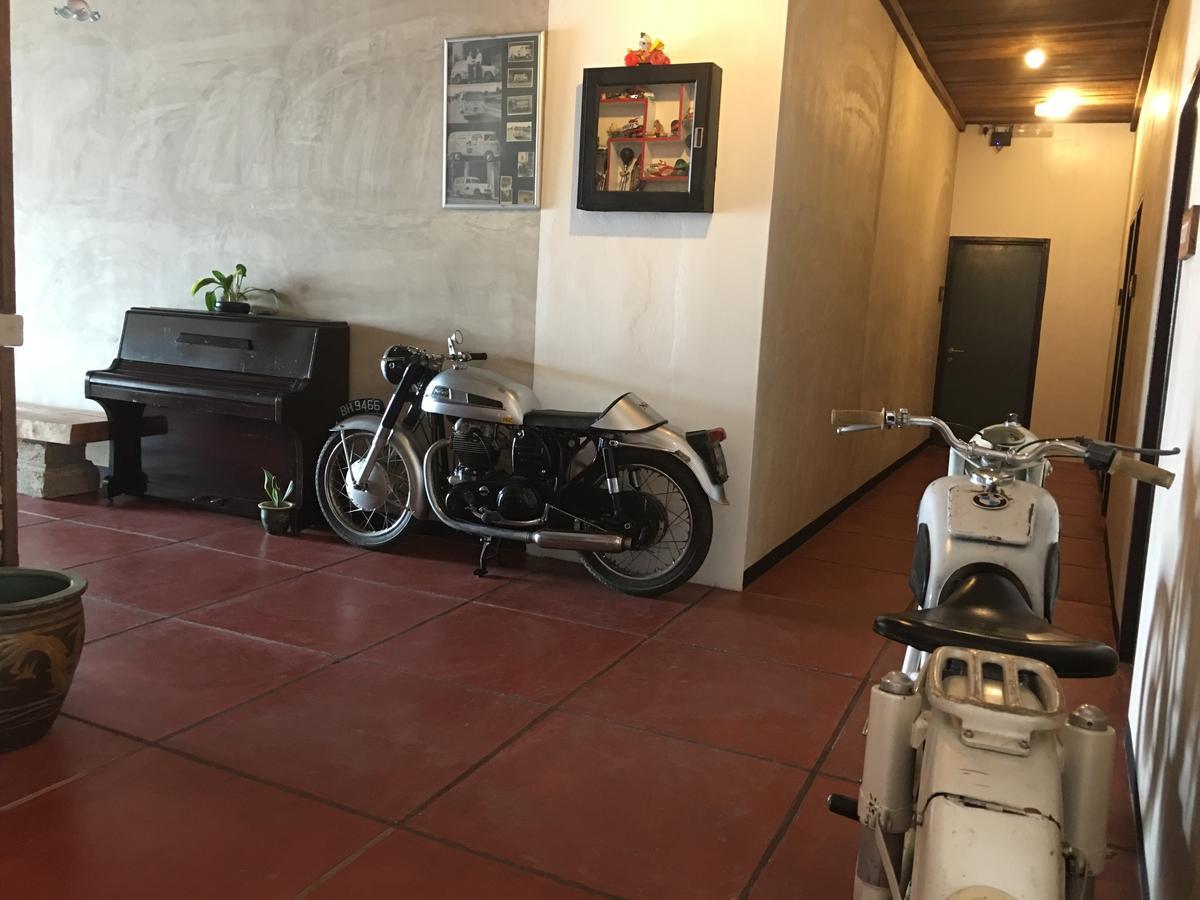 Hotel Rock Wood 3*